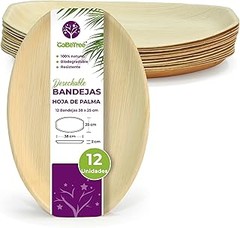 Cómo elegir las mejores bandejas con compartimentos pequeñas