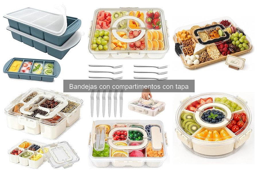 Alternativas a Bandejas con Compartimentos con Tapa