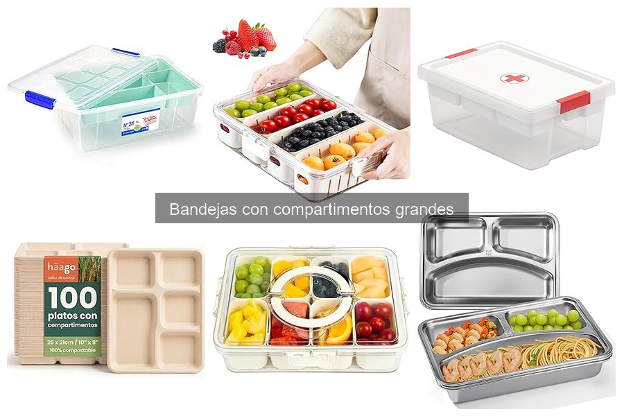 ** Comparativa de bandejas grandes con compartimentos: calidad y precio