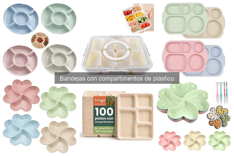 Guía de compra: Bandejas con compartimentos de plástico
