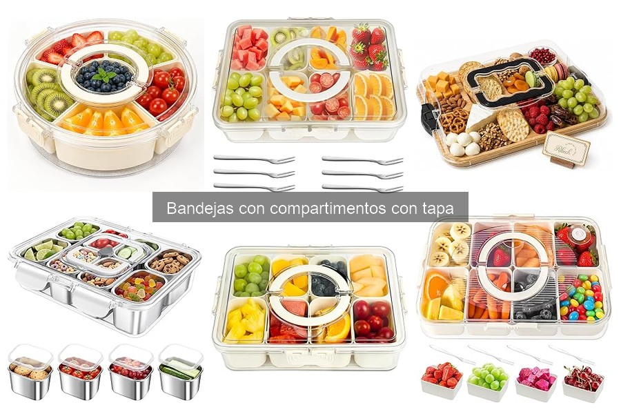 Guía de compra de bandejas con compartimentos con tapa