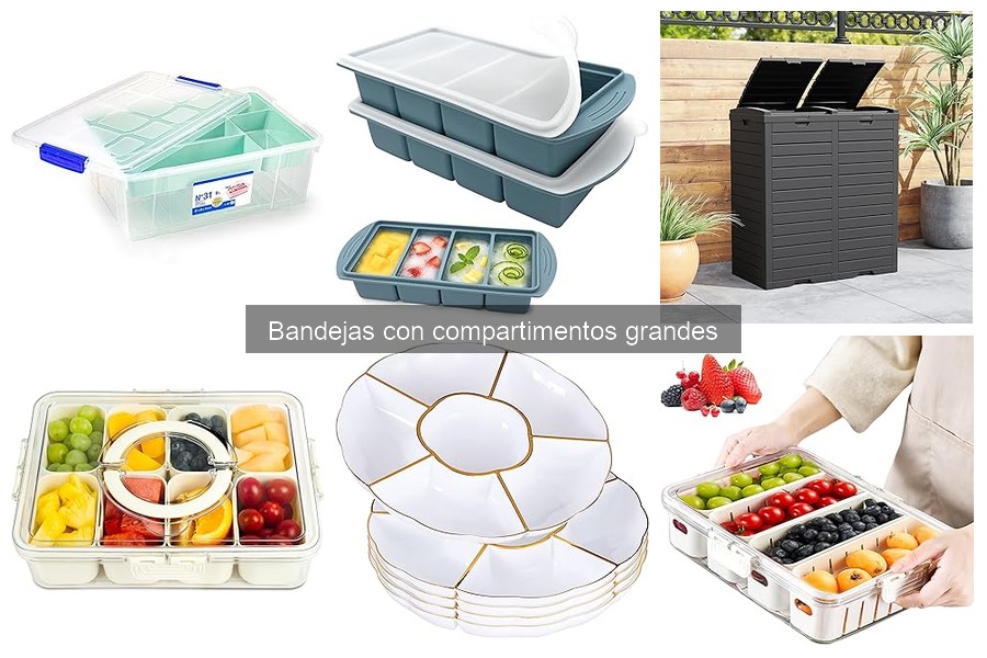 Guía para elegir bandejas con compartimentos grandes