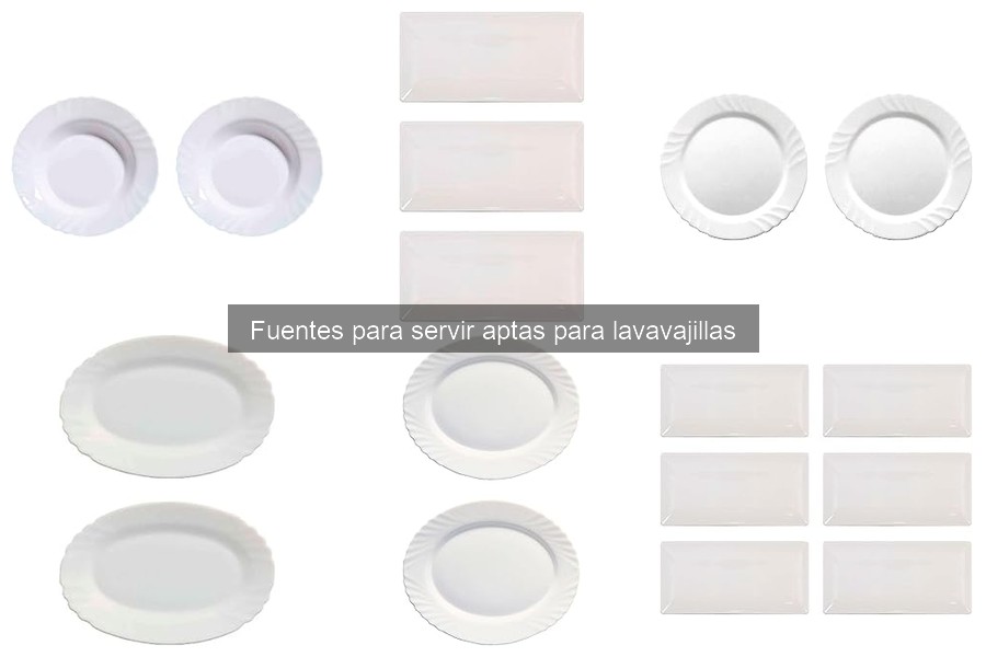 Problemas comunes al usar fuentes para servir en lavavajillas