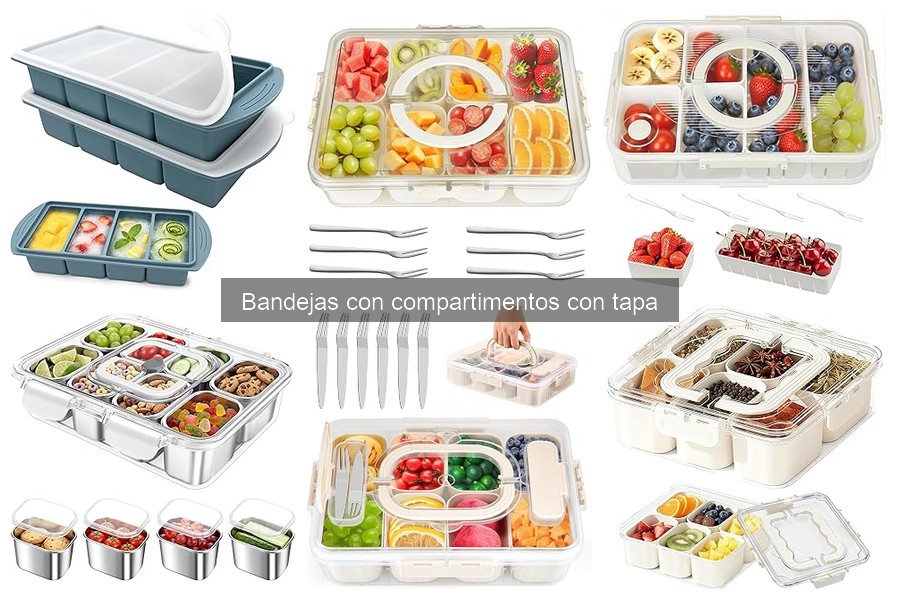 Ventajas y desventajas de bandejas con compartimentos con tapa